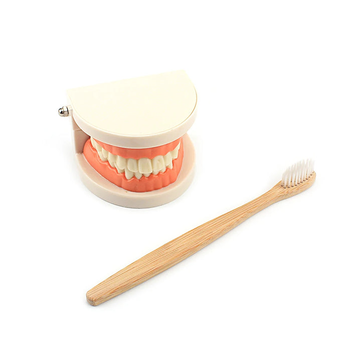 Tooth Brushing Toy (Montessori Inspired)