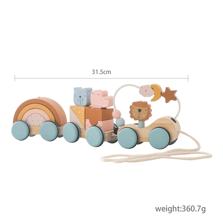 Wooden Montessori Train Toy