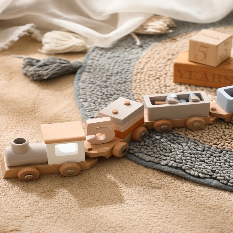 Wooden Montessori Train Toy