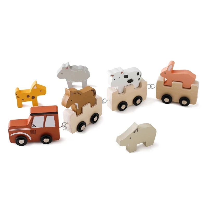 Wooden Montessori Train Toy